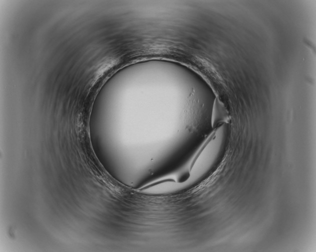 X0000096381210200802141423