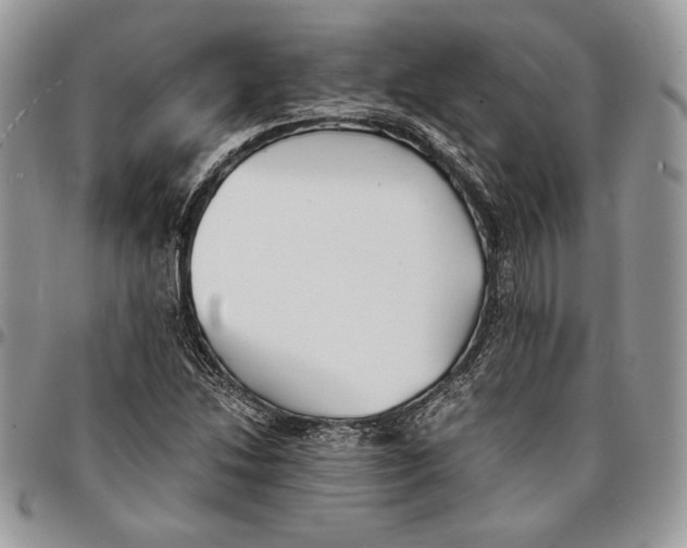 X0000096381214200802141423