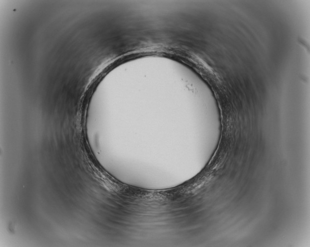 X0000096381216200802141423