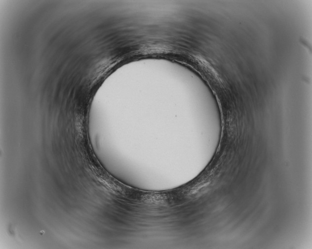 X0000096381217200802141423