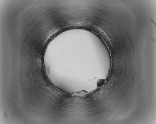 X0000096381218200802141423