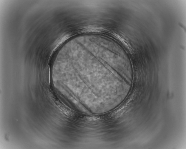 X0000096381219200802141423