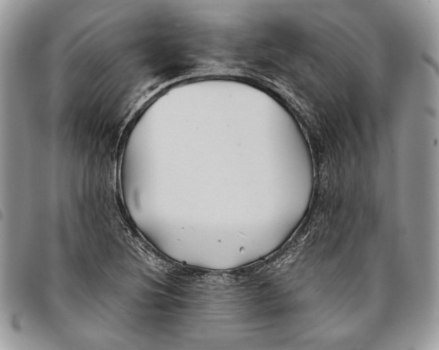 X0000096381220200802141423