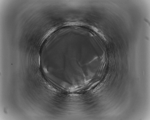 X0000096381221200802141423