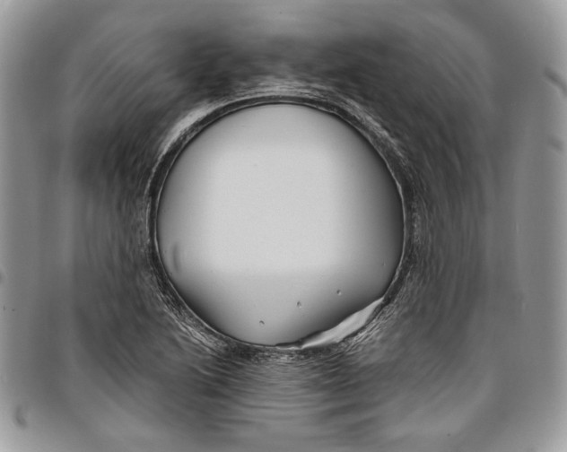 X0000096381222200802141423