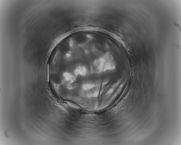 X0000096381223200802141423