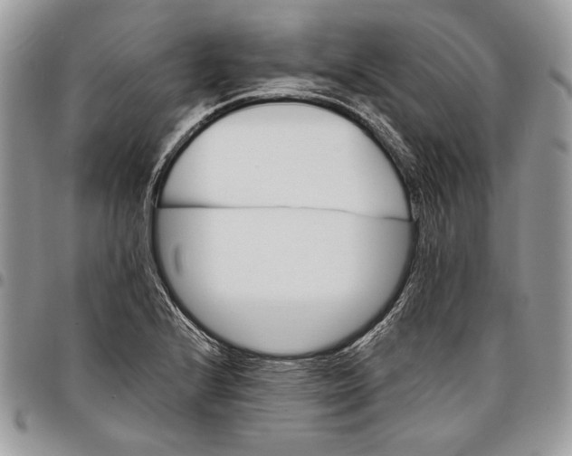 X0000096381224200802141423