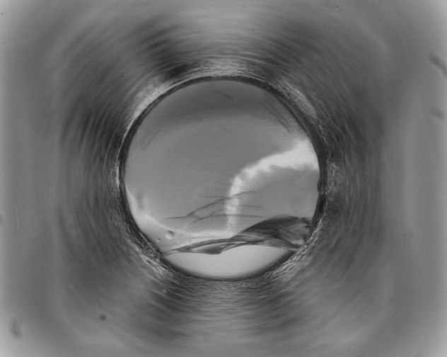 X0000096381226200802141423