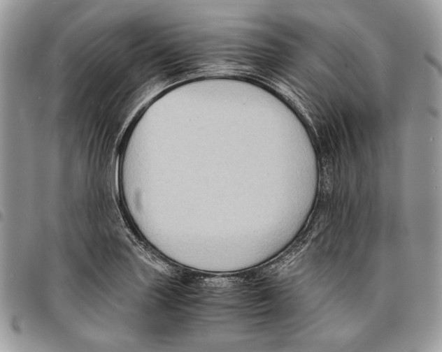 X0000096381227200802141423