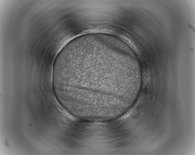 X0000096381228200802141423