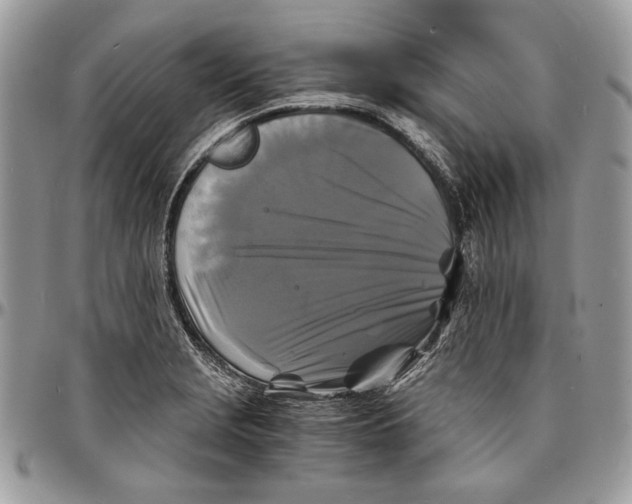 X0000096381229200802141423