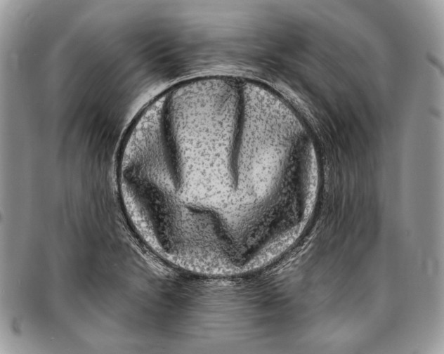 X0000096381230200802141423