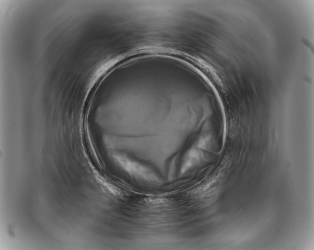 X0000096381231200802141423