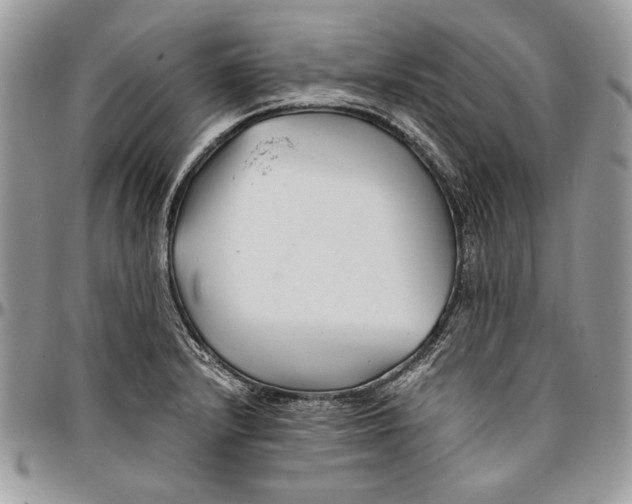 X0000096381232200802141423