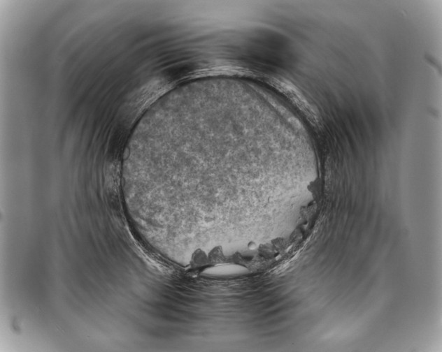 X0000096381233200802141423