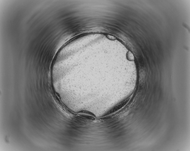 X0000096381234200802141423