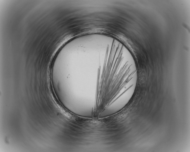 X0000096381235200802141423