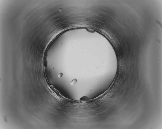 X0000096381236200802141423