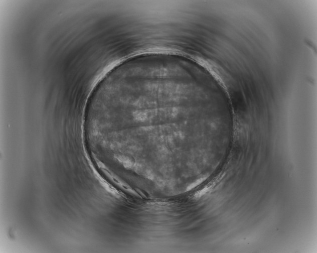 X0000096381237200802141423