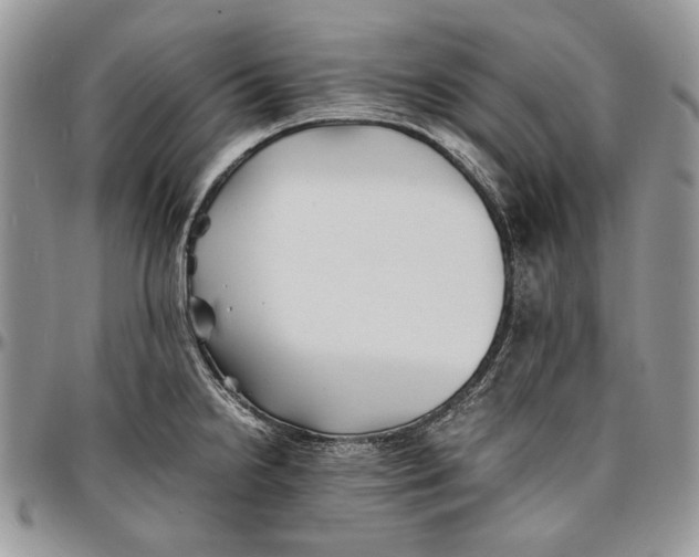 X0000096381238200802141423