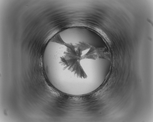 X0000096381241200802141423