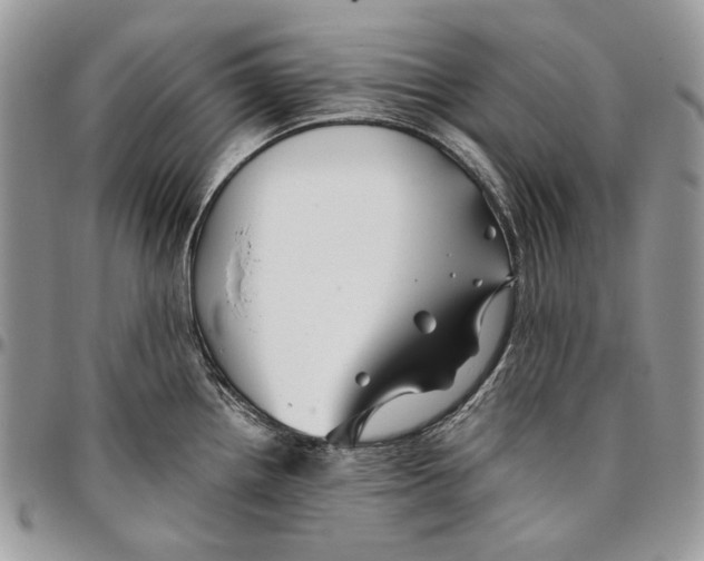 X0000096381242200802141423