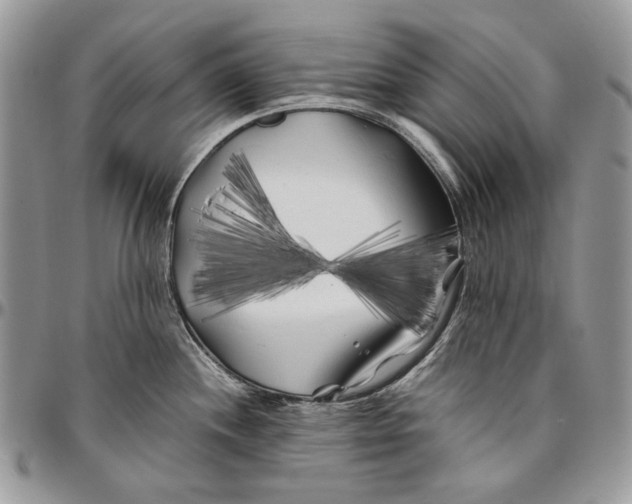 X0000096381244200802141423