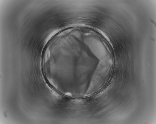 X0000096381245200802141423