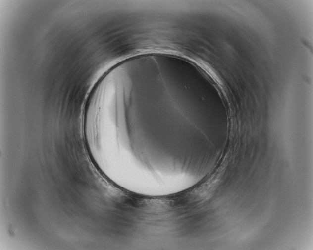 X0000096381246200802141424