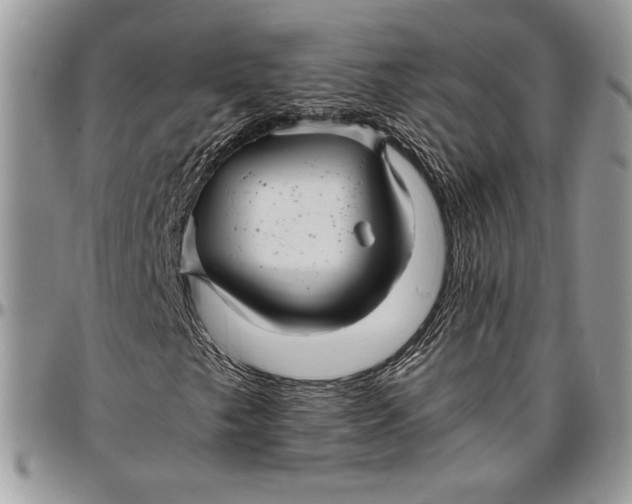 X0000096381249200802141423