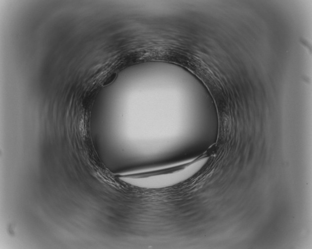 X0000096381250200802141423