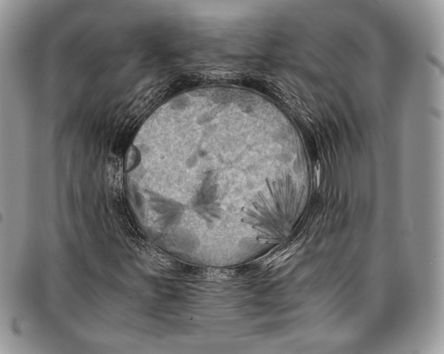 X0000096381251200802141423