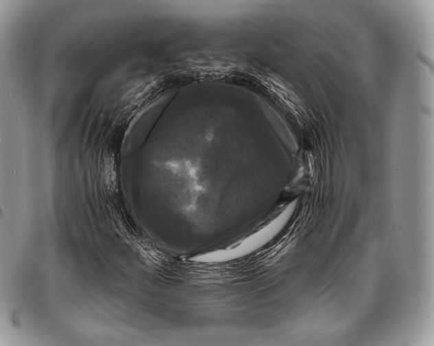 X0000096381252200802141423