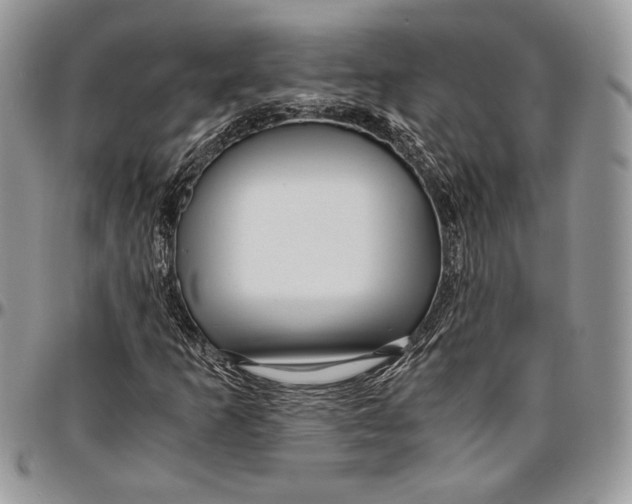 X0000096381253200802141423