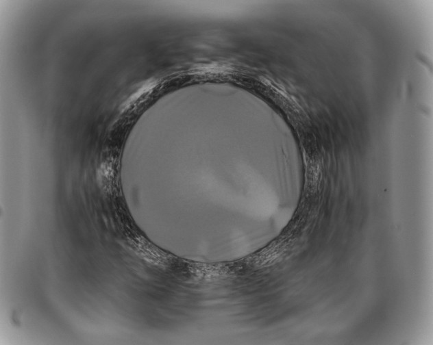 X0000096381254200802141423