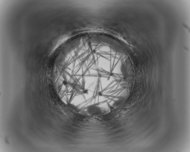 X0000096381255200802141423