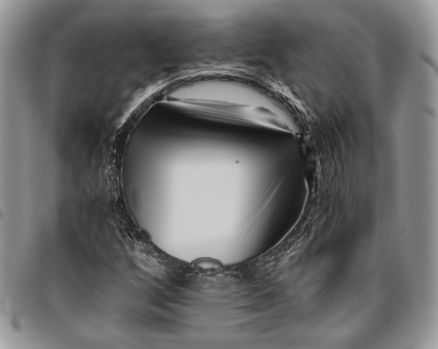 X0000096381256200802141423