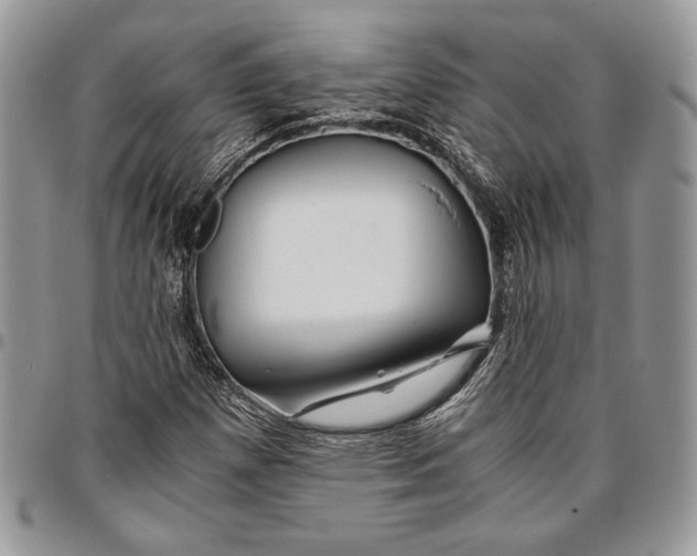 X0000096381257200802141423