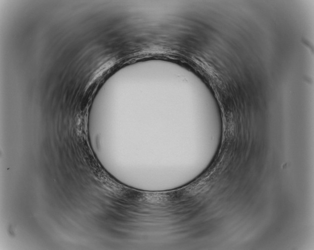 X0000096381258200802141423