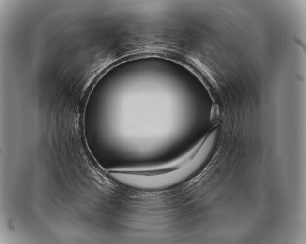 X0000096381260200802141423