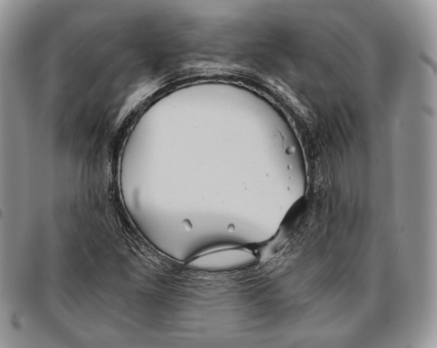 X0000096381261200802141423