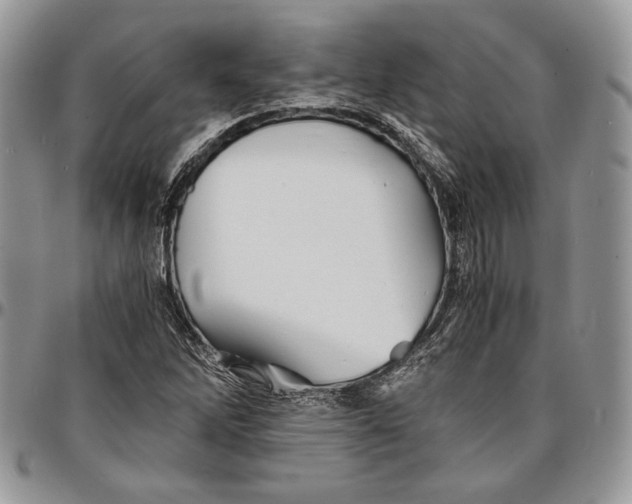 X0000096381262200802141423