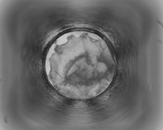 X0000096381263200802141423