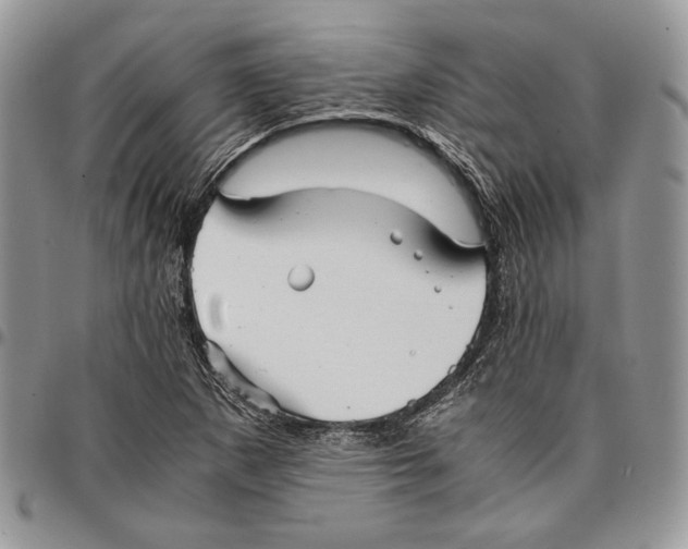 X0000096381265200802141423