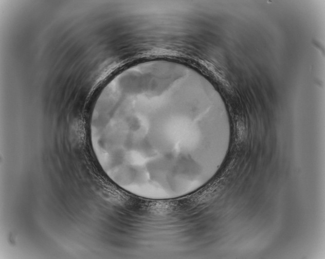 X0000096381266200802141423