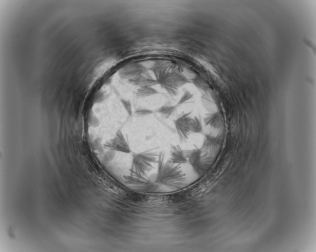 X0000096381267200802141423