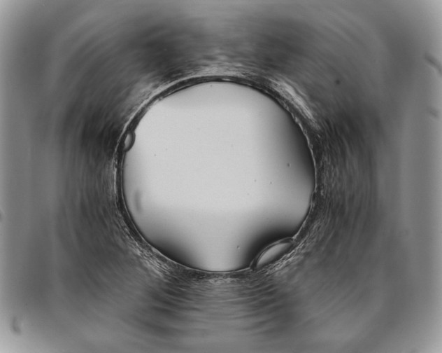 X0000096381268200802141423