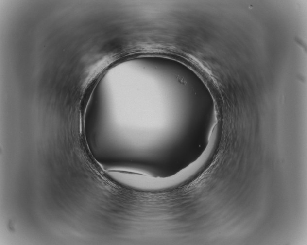 X0000096381269200802141423