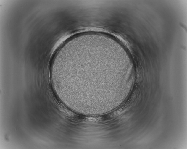 X0000096381271200802141423