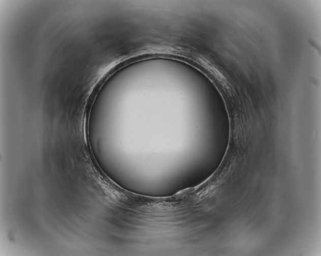 X0000096381272200802141423